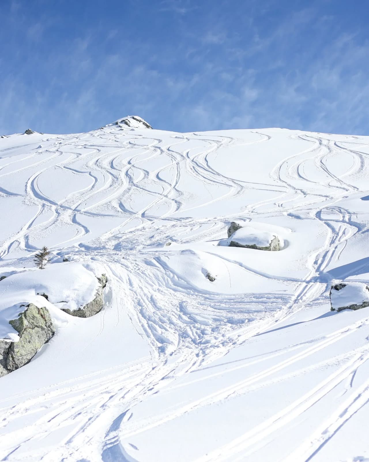 WhatsApp Image 2025-12-09 at 23.00.53-6