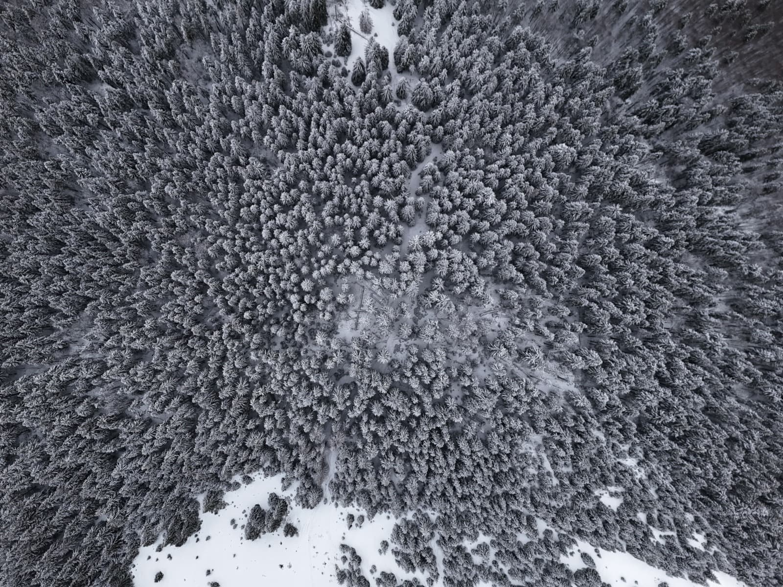 WhatsApp Image 2025-12-09 at 23.02.57-3